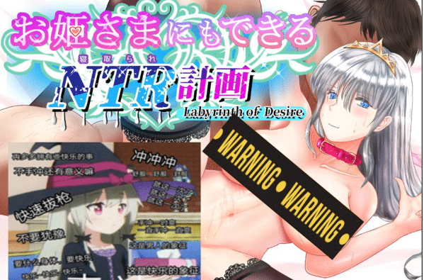 [日系] 连公主也能参与的NTR计划 AI汉化版[7月新作/3.2G]-小蛇ACG